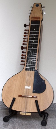 Indian Slide Guitar