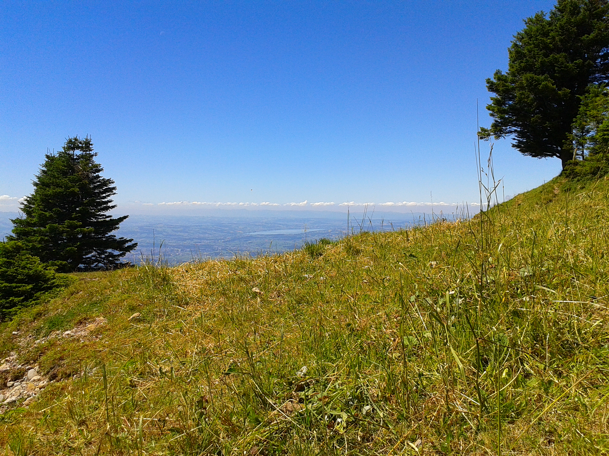 Rigi Kulm 5: North